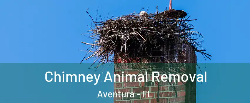  Chimney Animal Removal Aventura - FL