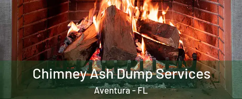  Chimney Ash Dump Services Aventura - FL