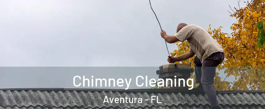 Chimney Cleaning Aventura - FL