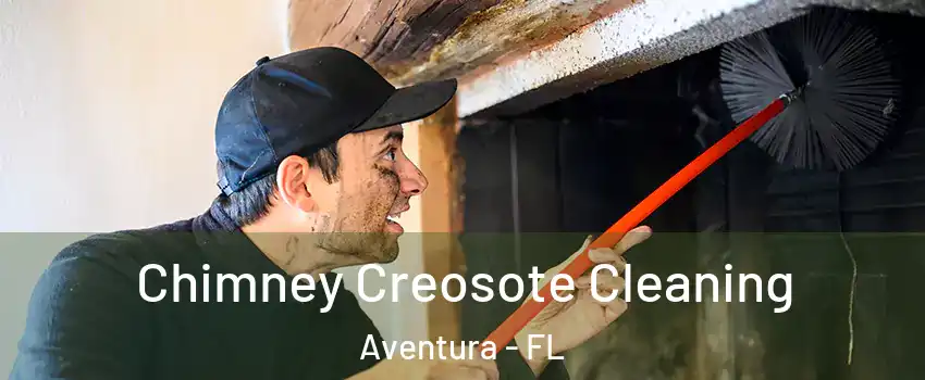  Chimney Creosote Cleaning Aventura - FL