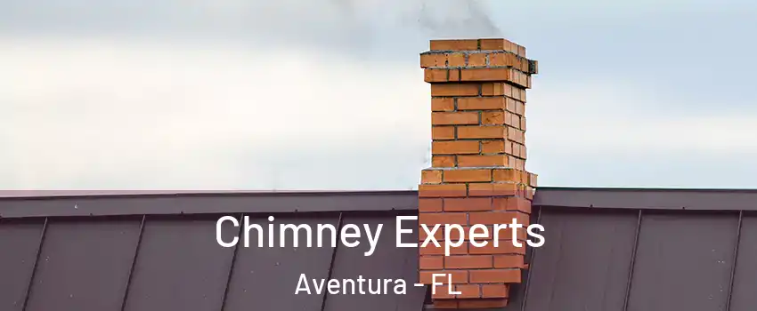  Chimney Experts Aventura - FL