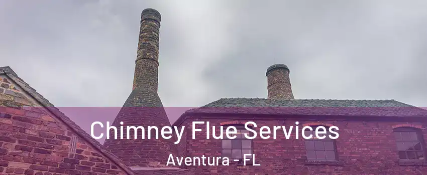  Chimney Flue Services Aventura - FL