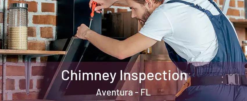  Chimney Inspection Aventura - FL