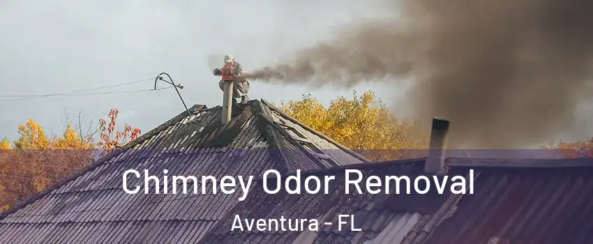  Chimney Odor Removal Aventura - FL