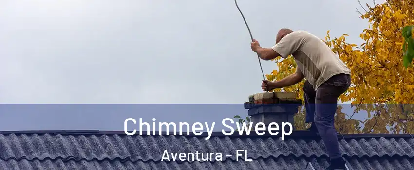  Chimney Sweep Aventura - FL