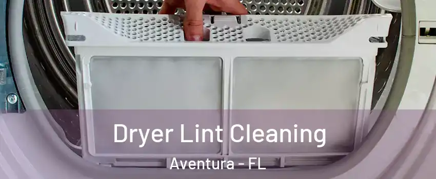  Dryer Lint Cleaning Aventura - FL