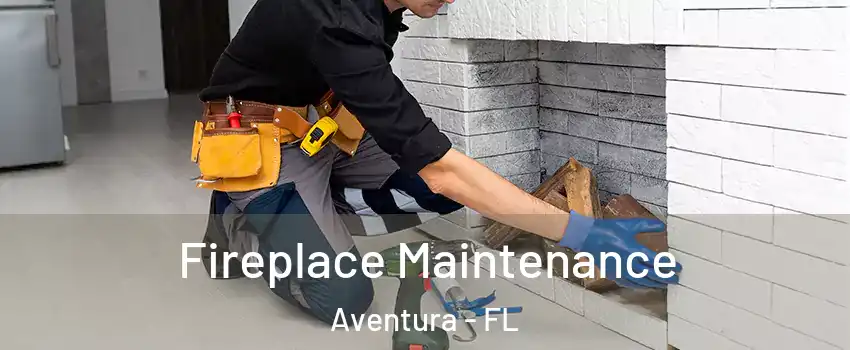  Fireplace Maintenance Aventura - FL
