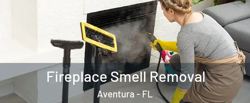  Fireplace Smell Removal Aventura - FL