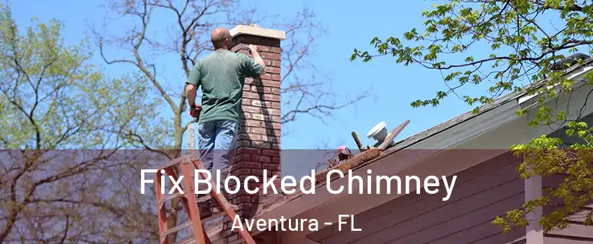  Fix Blocked Chimney Aventura - FL