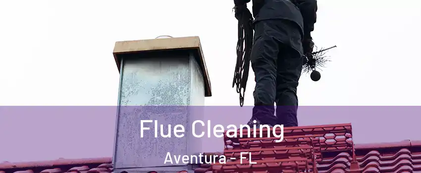  Flue Cleaning Aventura - FL