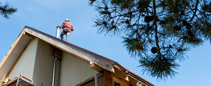 Birds Removal Contractors from Chimney in Aventura, FL