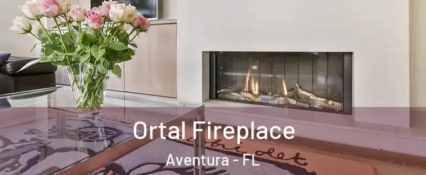  Ortal Fireplace Aventura - FL